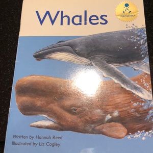 Meet your Posher, Steve